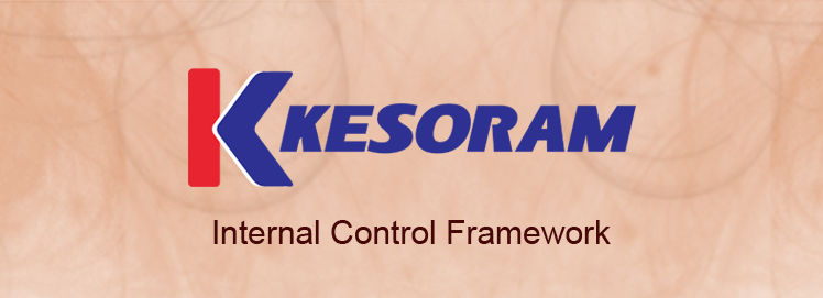 Internal Control Framework